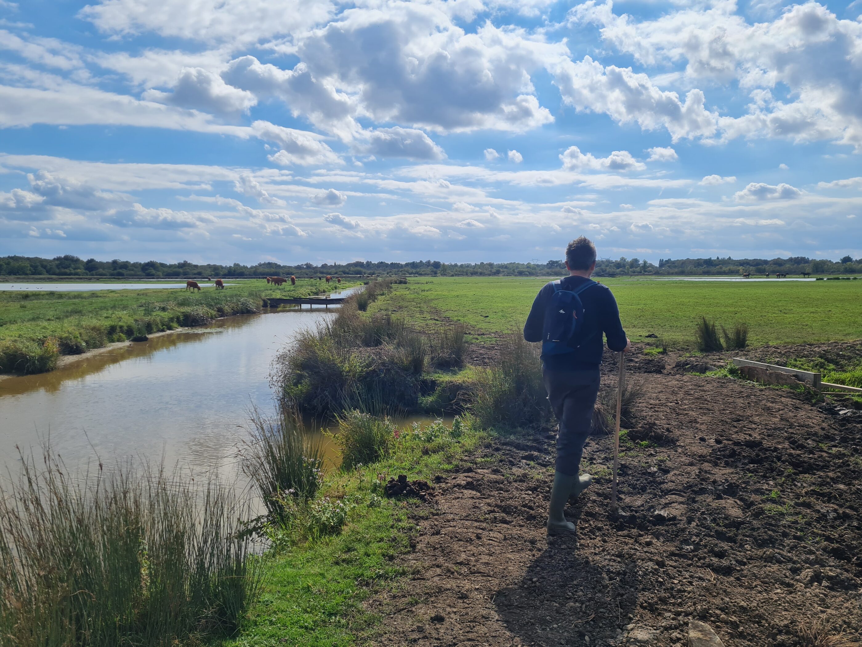 Presqu'île d'Ambes balade marais de Montferrand.