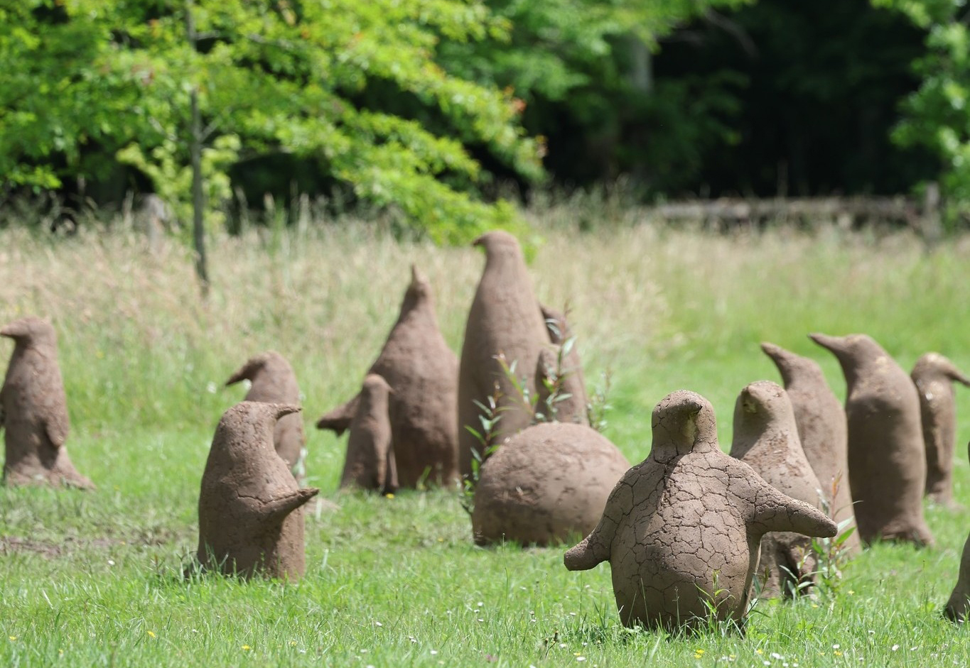 Quand l’art contemporain s’invite dans le vignoble