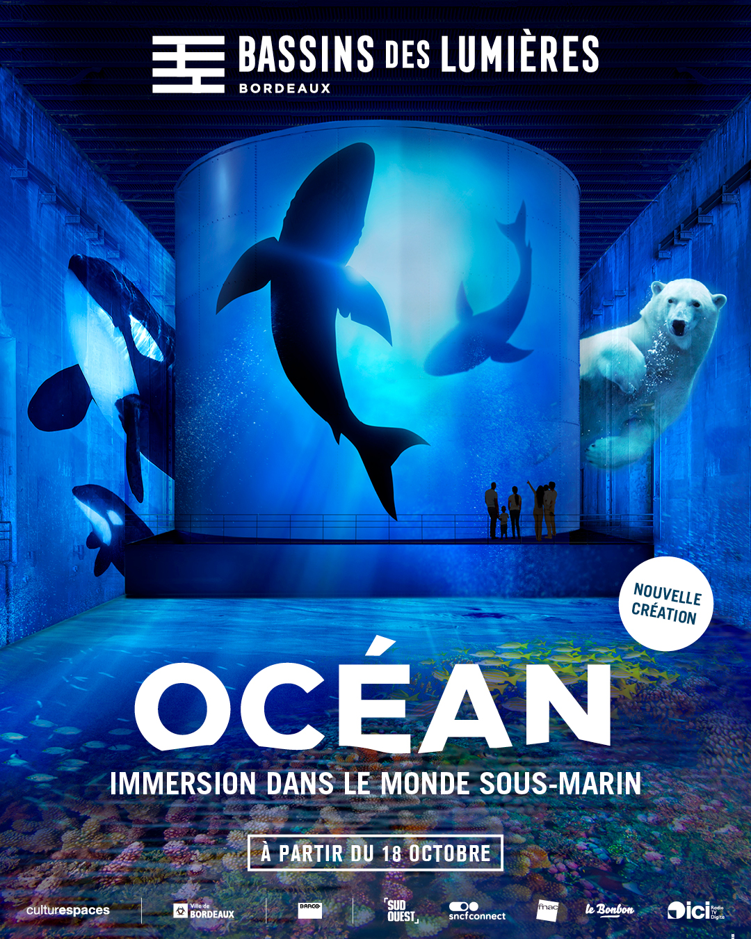ocean-bassins-des-lumières