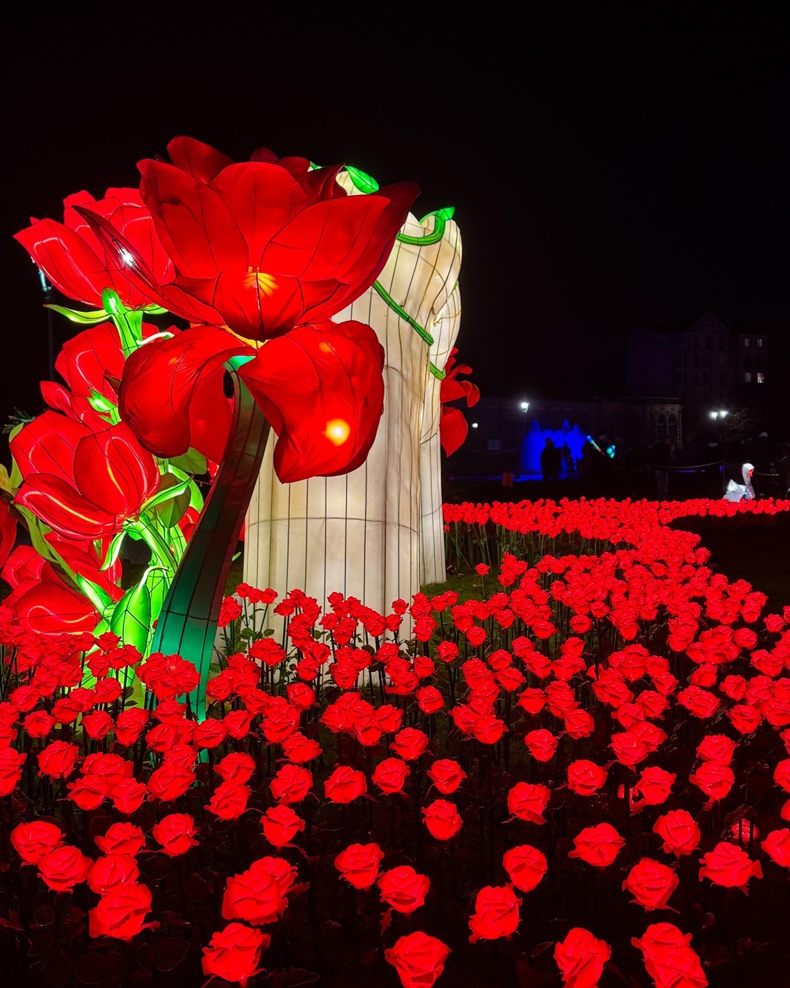 odyssee-lumineuse-2025