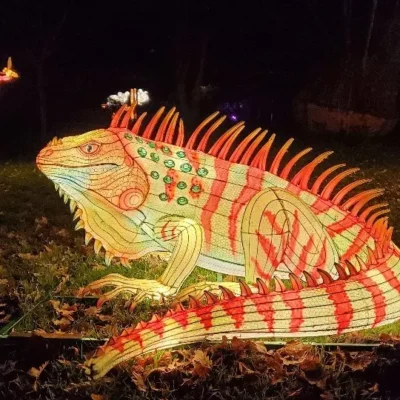 odyssee-lumineuse-bordeaux