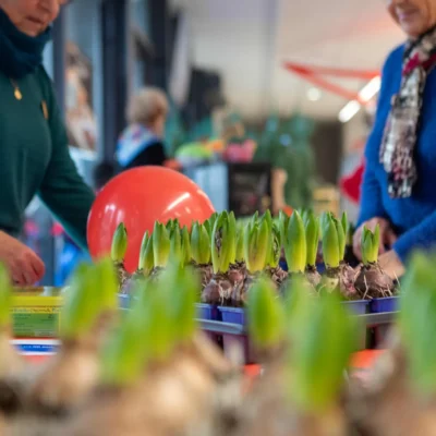 telethon-talence-2025