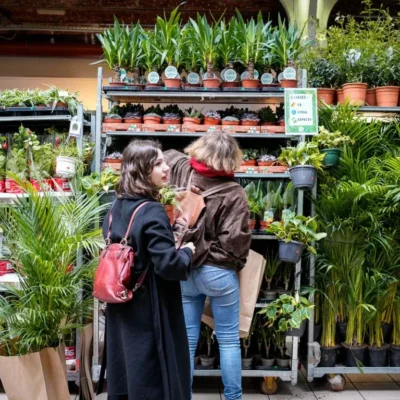 plantes-pour-tous-bordeaux