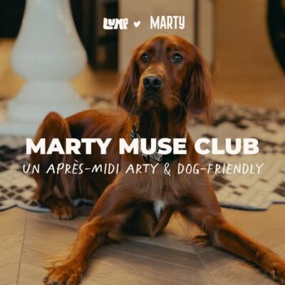 art-dog-friendly-marty-hotel-week-end-bordeaux