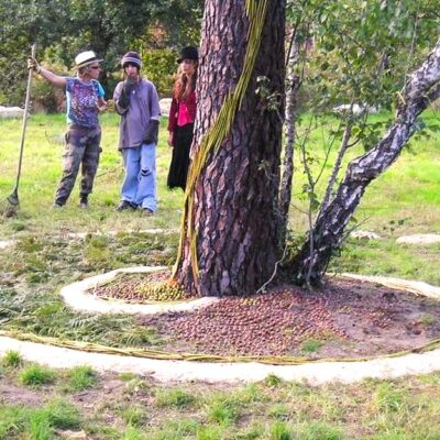 land-art-pessac-atelier-participatif-week-end-bordeaux