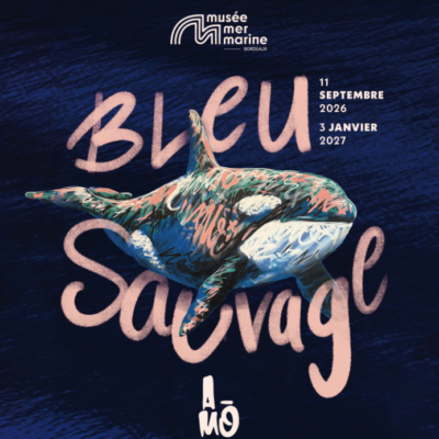 bleu-sauvage-amo-musee-mer-marine-week-end-bordeaux