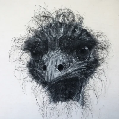 expositioncauserieanimaleatalence