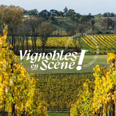 vignobles-scene-animations-vins-bordeaux-week-end-bordeaux